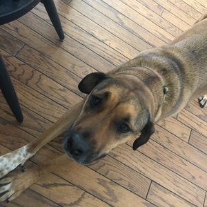 Meet your Posher, Danielle